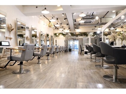 ヴィサージュバスク(VISAGE ba.s.k)の写真