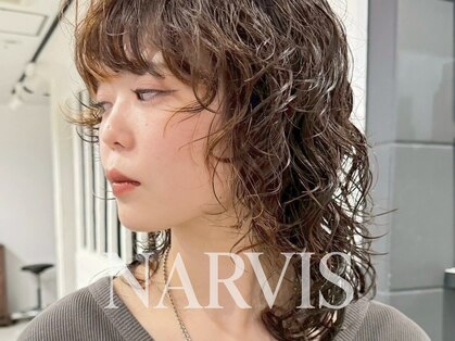 ナービス(NARVIS)の写真