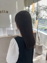 ステラ(Stella) ナチュラルオリーブカラー