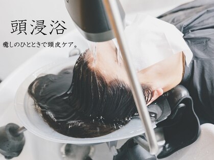 ルナエルズの写真