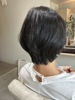 本と南風 guest design