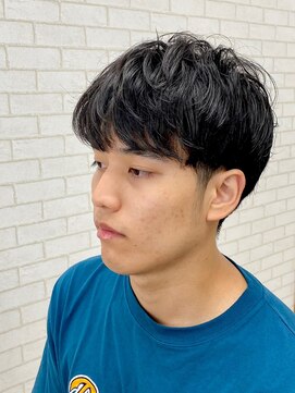 ルピナス(Lupinus) ソフトスパイラル