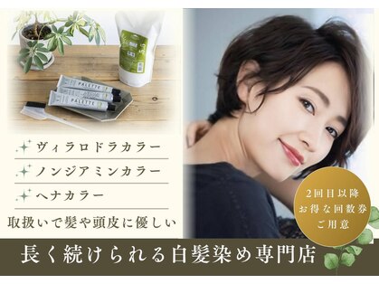 イエロー(Yellow)の写真