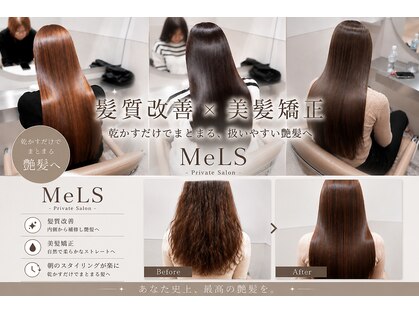 メルス(MeLS)の写真