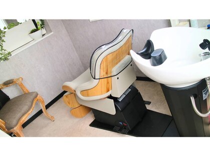 フィリー(Filly)の写真