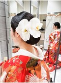 艶髪×胡蝶蘭