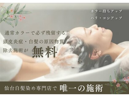 イエロー(Yellow)の写真