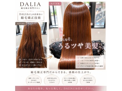 ダリア 横浜(DALIA)の写真