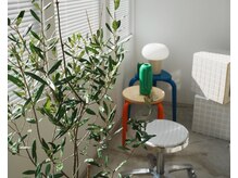 自然光が心地良い店内