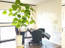 美容室リシーブ(Receive)の雰囲気（大きなウンベラータのあるお店♪）