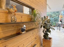 イル(ill)の雰囲気（緑がいっぱいの店内でリラックス出来る時間をお過ごしください！）