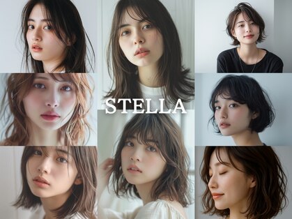 ステラ 川口東領家店(STELLA)の写真