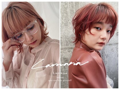 ラマナ(Lamana)の写真