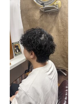 ギルド(Guild) メンズミディアム ウルフ ソフトスパイラル