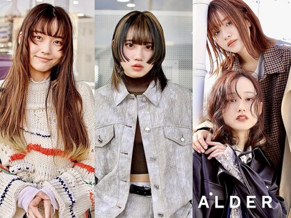 アルダー(ALDER)の写真