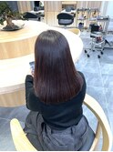 まとまりのあるシンプルミディアム（カシスブラウン）　立元