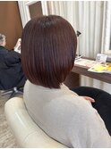 カシスブラウン+艶ボブスタイル