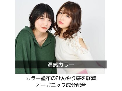 ミューテ(Mu-te)の写真