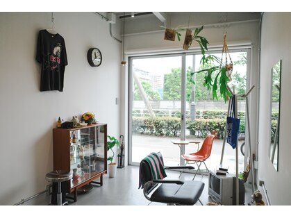 フェル(fer)の写真