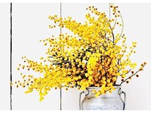 ノリータヘアラボ(NoLITA hair labo)