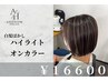 白髪ぼかしハイライト+オンカラー22100円→16600円