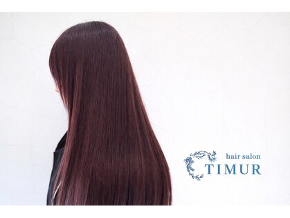 ティムール(TIMUR)の写真