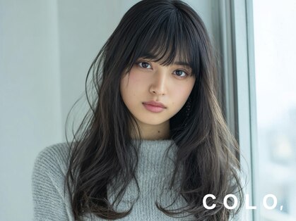 コロ(COLO)の写真