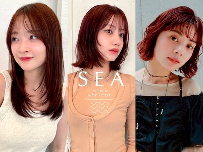 シーバイトリコ 市川(SEA by tricot)の写真