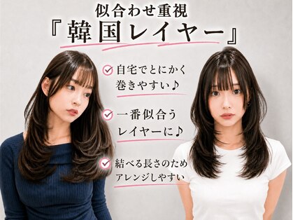 シュガー(Sugar)の写真