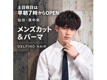 デルフィーノ ヘアーパフォーム(delfino hair perform)