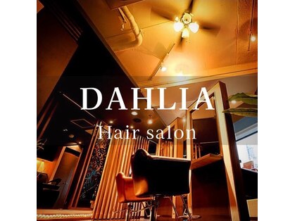 ダリア(Dahlia)の写真