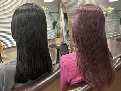 ハウス(the HOUSE)の写真