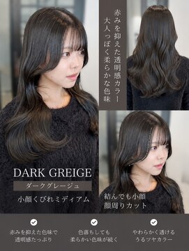 リアン 本厚木(LIAN) ダークグレージュレイヤーカット韓国巻き