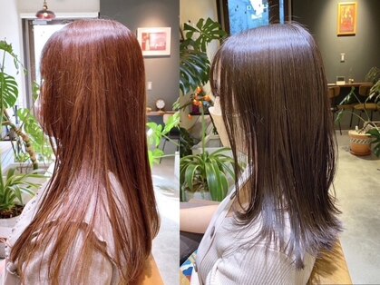 ヘア サロン ルート 幕張(Hair Salon ROUTE)の写真