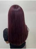 ボルドールビー
