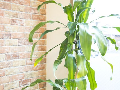 美容室 リ アージュ(RiAju)の写真