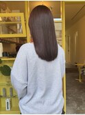 〈浅草 半個室〉ラベンダーブラウン
