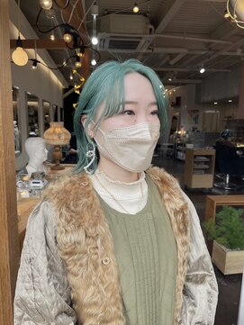 チカシツ(Chikashitsu) mint green