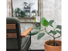 オリーブ(Olive)