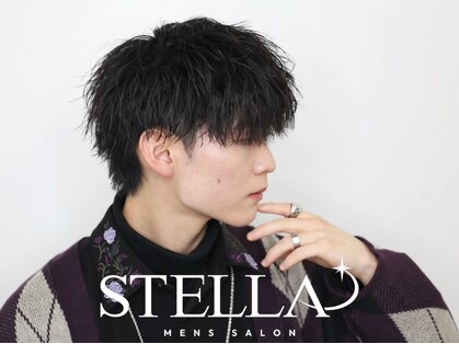 ステラ(STELLA)の写真