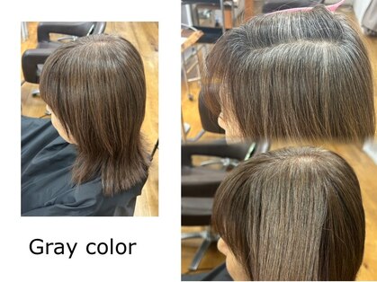 スパイス SPYSの写真