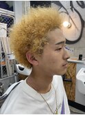 プードルパーマ