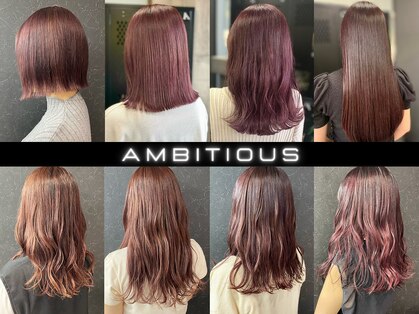 アンビシャス 河辺(ambitious)の写真