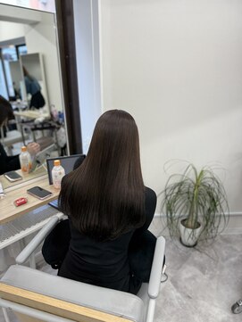 アチェロ(Acero.) アッシュカラー