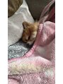 ヘア アトリエ マム(hair atelier mum) 家に帰ると愛犬ペコと触れ合うのが日課です！