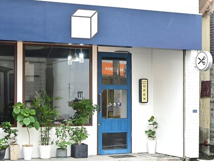 シカクの写真