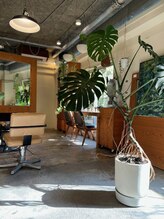 マワル(maWaRu)&nbsp;maWaRu style