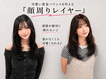 シュガー(Sugar)の写真