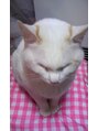 ジュビリー デザインルーム(JUBILEE design room) 猫好きです☆お店の至る所にネコグッズがあるから探してみて
