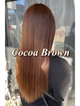 ネリネ(Nerine) ココアブラウン